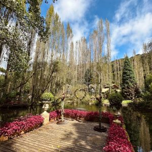 Excursão para o Jardim Secreto - Domingo 23 de novembro