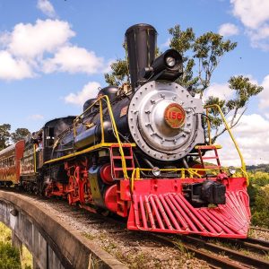 Excursão para Bento Gonçalves e Trem Maria Fumaça! - Final de semana dias 22 a 24 de agosto
