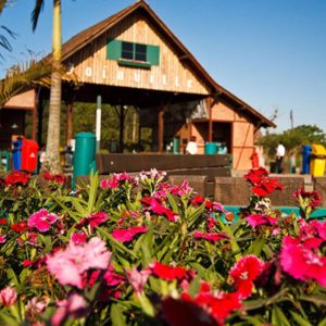Excursão para a Festa das Flores de Joinville - Feriado 20 de novembro