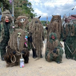 Excursão para as Grutas de Botuverá & Pelznickelplatz de Guabiruba! - Sábado 20 de dezembro