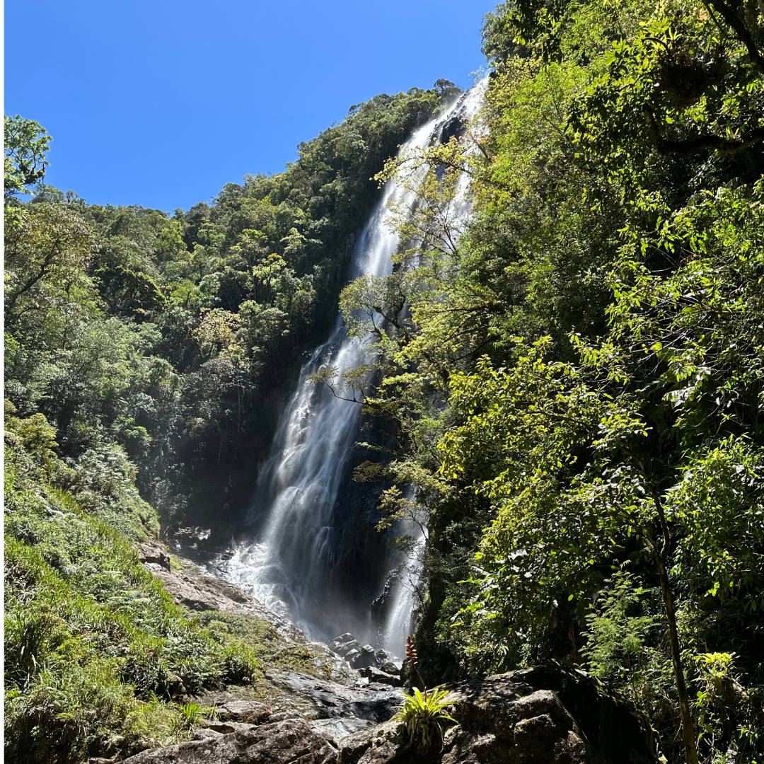 Trilha da Cachoeira do Fojo! – Domingo 07 de dezembro
