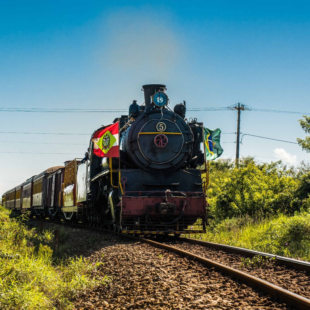 Excursão Trem Maria Fumaça Tubarão + Colheita da Uva Goethe – Domingo 18 de janeiro!
