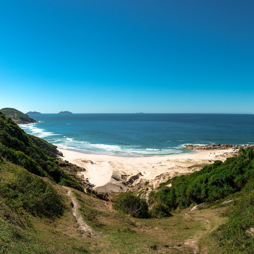 Trilha do Vale da Utopia & Guarda do Embaú – Domingo dia 24 de maio