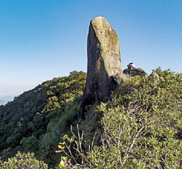 Trilha do Pico da Pedra de Camboriú! – Domingo dia 14 de junho
